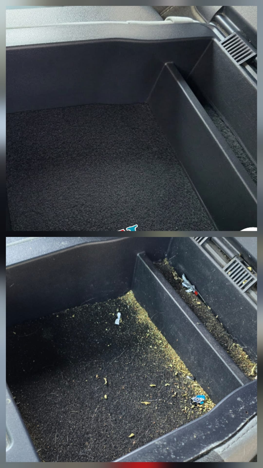 Car before ceramic coating application showing unprotected paint
